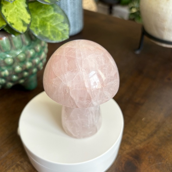 Discounted* Large Rose Quartz Crystal Mushroom Carving with Imperfection - Picture 3 of 13